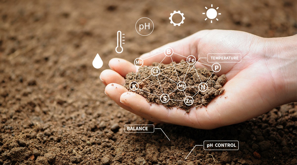 Sadbaři varují: nikdy nelez do půdy s těmito minerály najednou