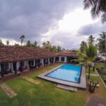 Skořice na okrajích záhonu zastaví slimáky líp než kterýkoliv jed