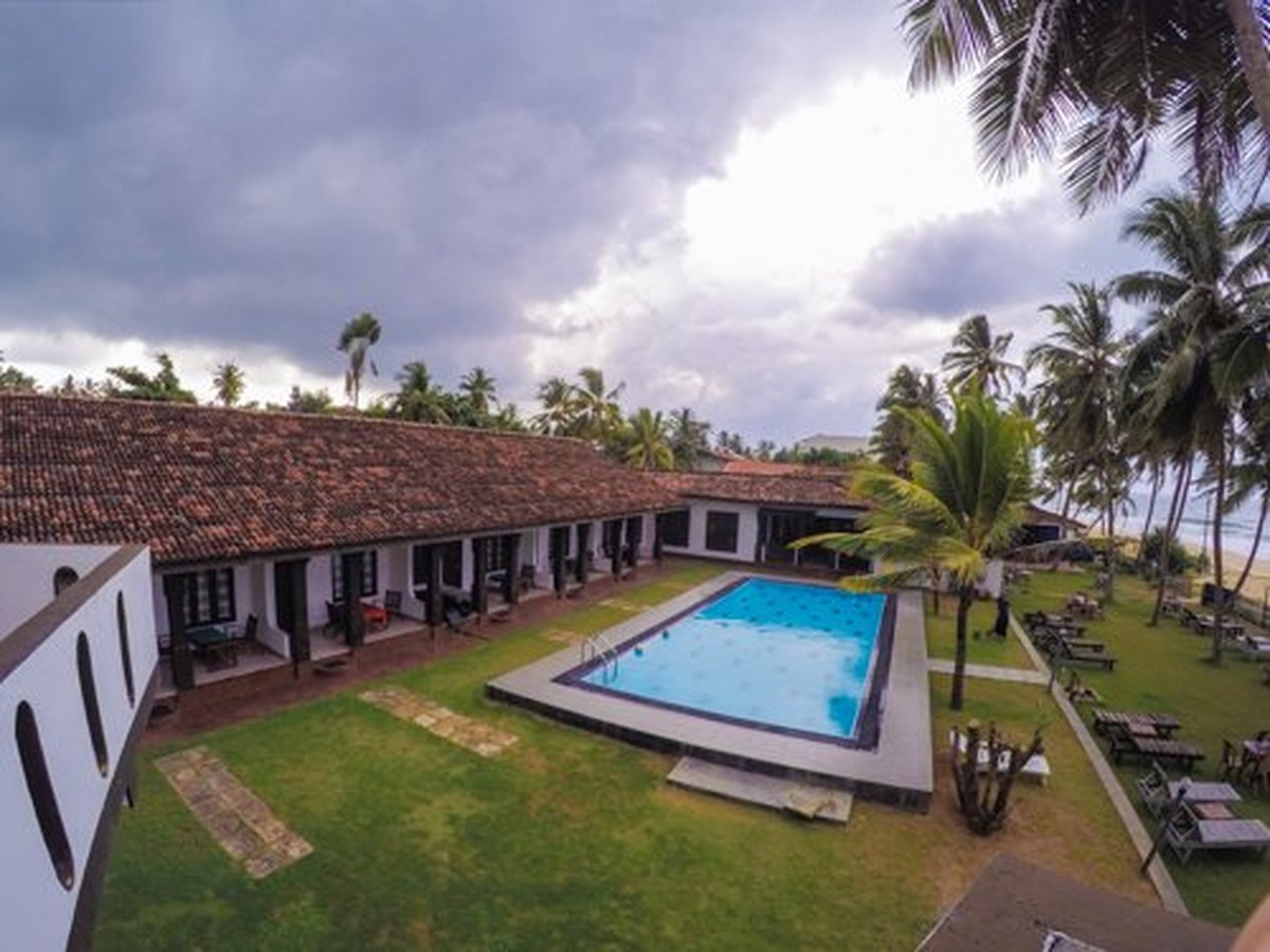 Skořice na záhonu zvyšuje úrodu o 40 procent. Zde je důvod