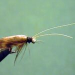 Skořice proti mouchám v květináči: levnější než insekticid