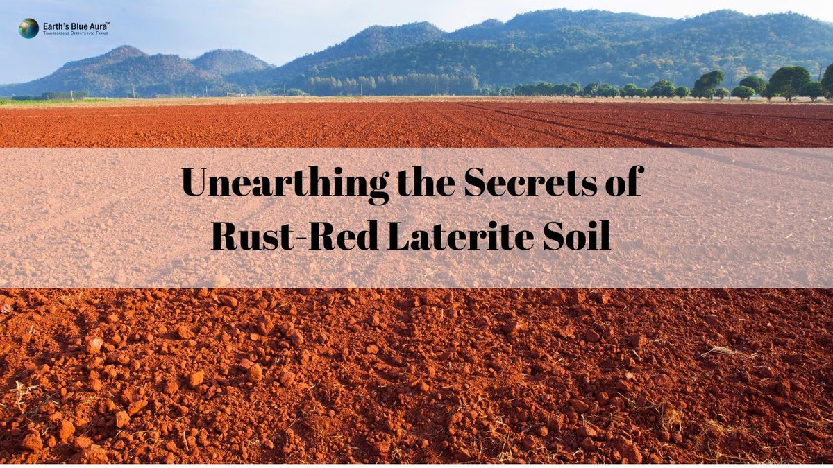 Soda na železo – zahradnický trik proti rezavé půdě za 20 Kč - image 1