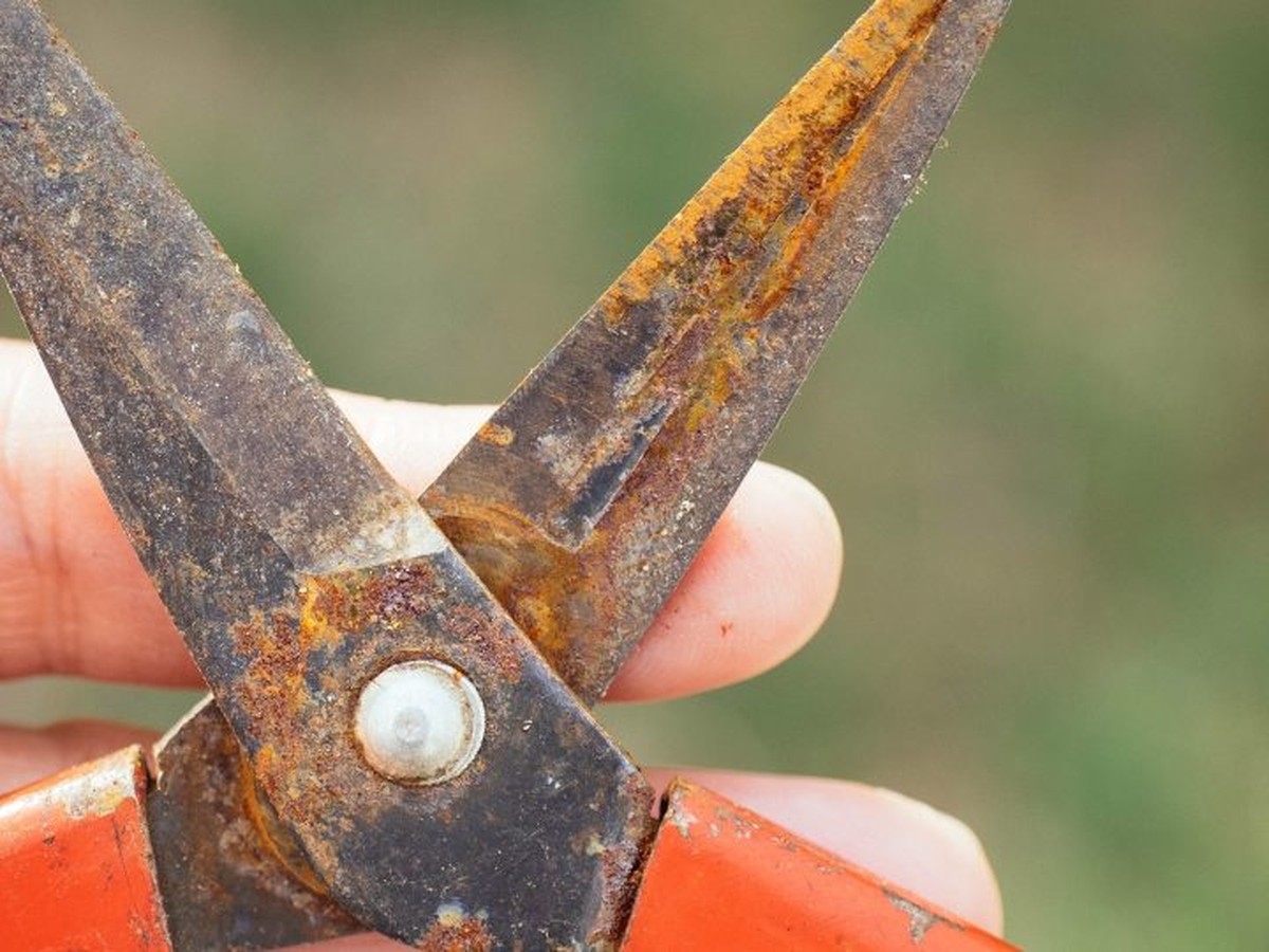 Soda na železo – zahradnický trik proti rezavé půdě za 20 Kč - image 2