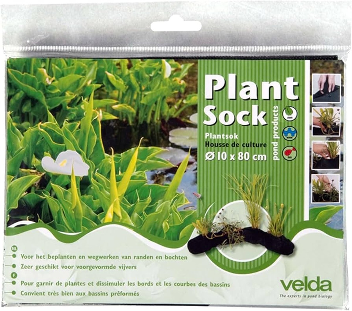 Staré ponožky jako stínidlo? Důvod, proč to dělají zkušení zahradníci - image 2