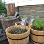 Starý PET obal jako kapačka: trik na zavlažování, který znají jen zkušení pěstitelé