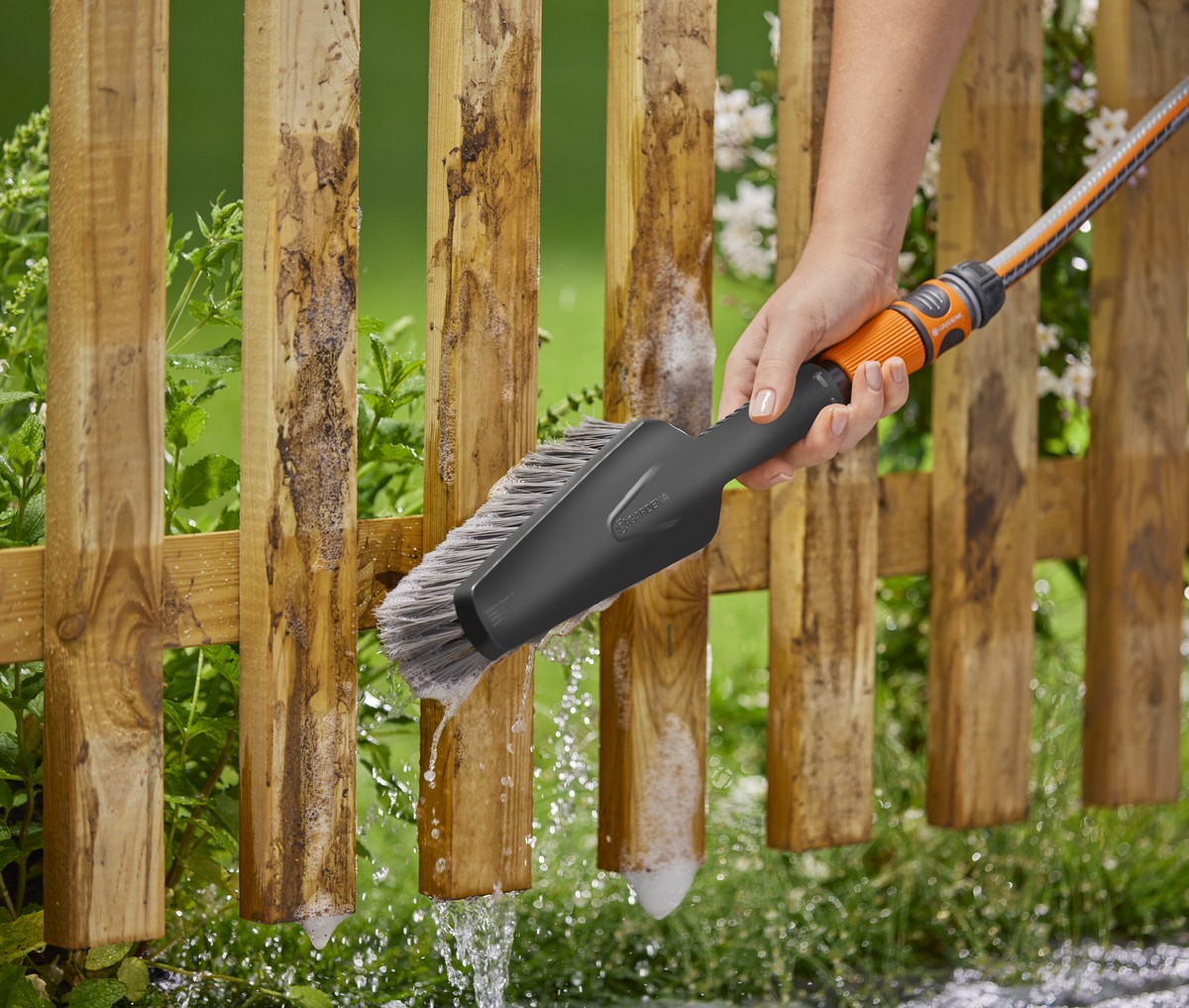 Sůl a mýdlo na plotě: jak se zbavit nежádoucích zvířat jednou навždy