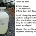 Sůl a ocet místo drahých herbicidů: jak zničit plevel za haléř