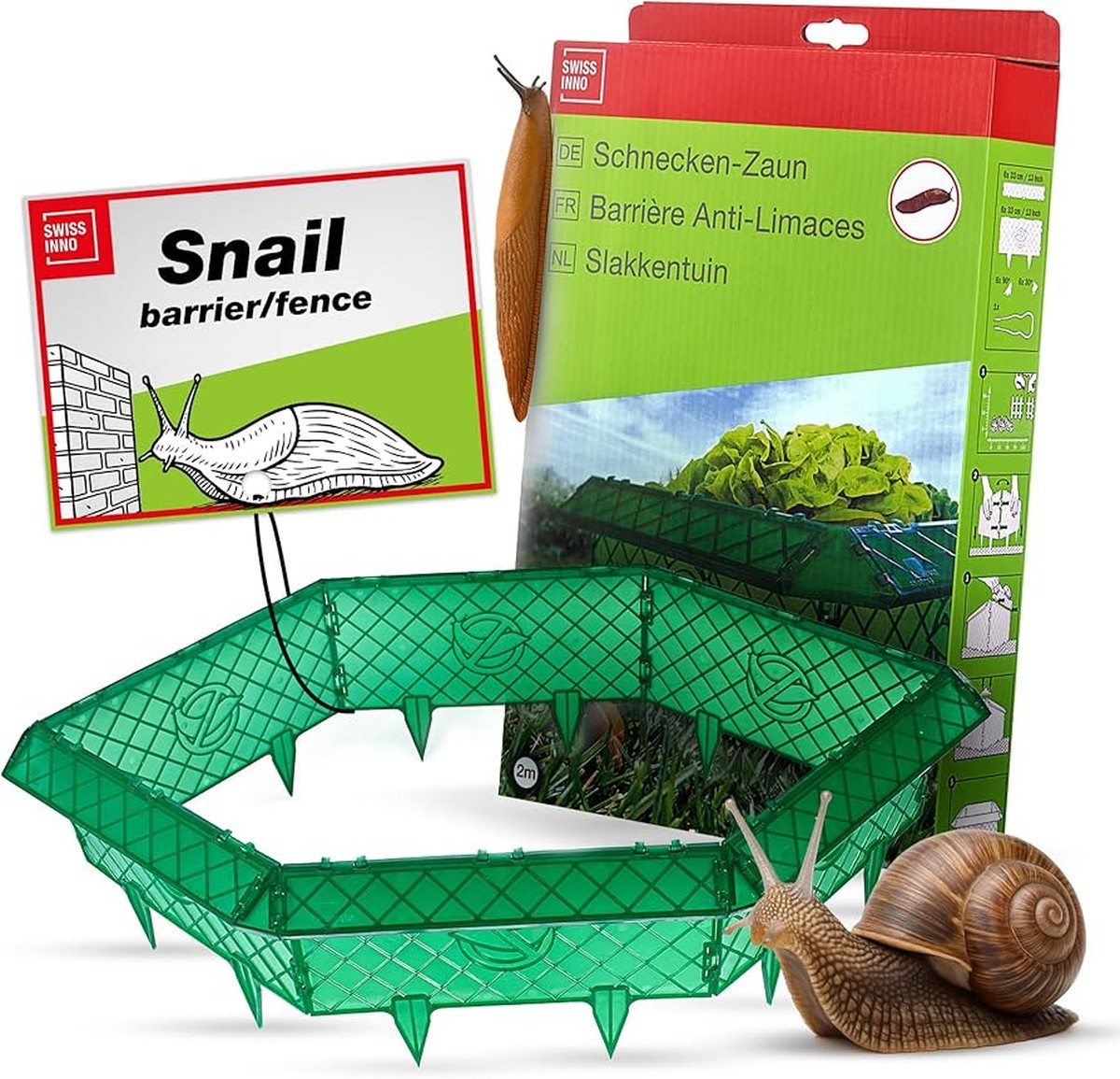 Sůl do květináčů: Starý trik proti slimákům, který funguje 7 dní po aplikaci - image 2