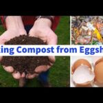 Vejce do kompostu či záhonu? Výtěžnost zvýšíte o čtvrtinu