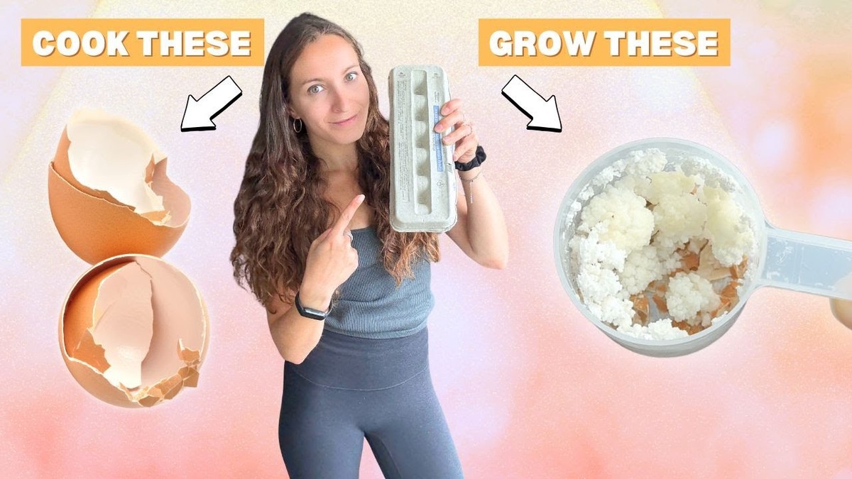 Vejce v skořápce zmrazené na ledě: přírodní hnojivo, které nemá podobu - image 1