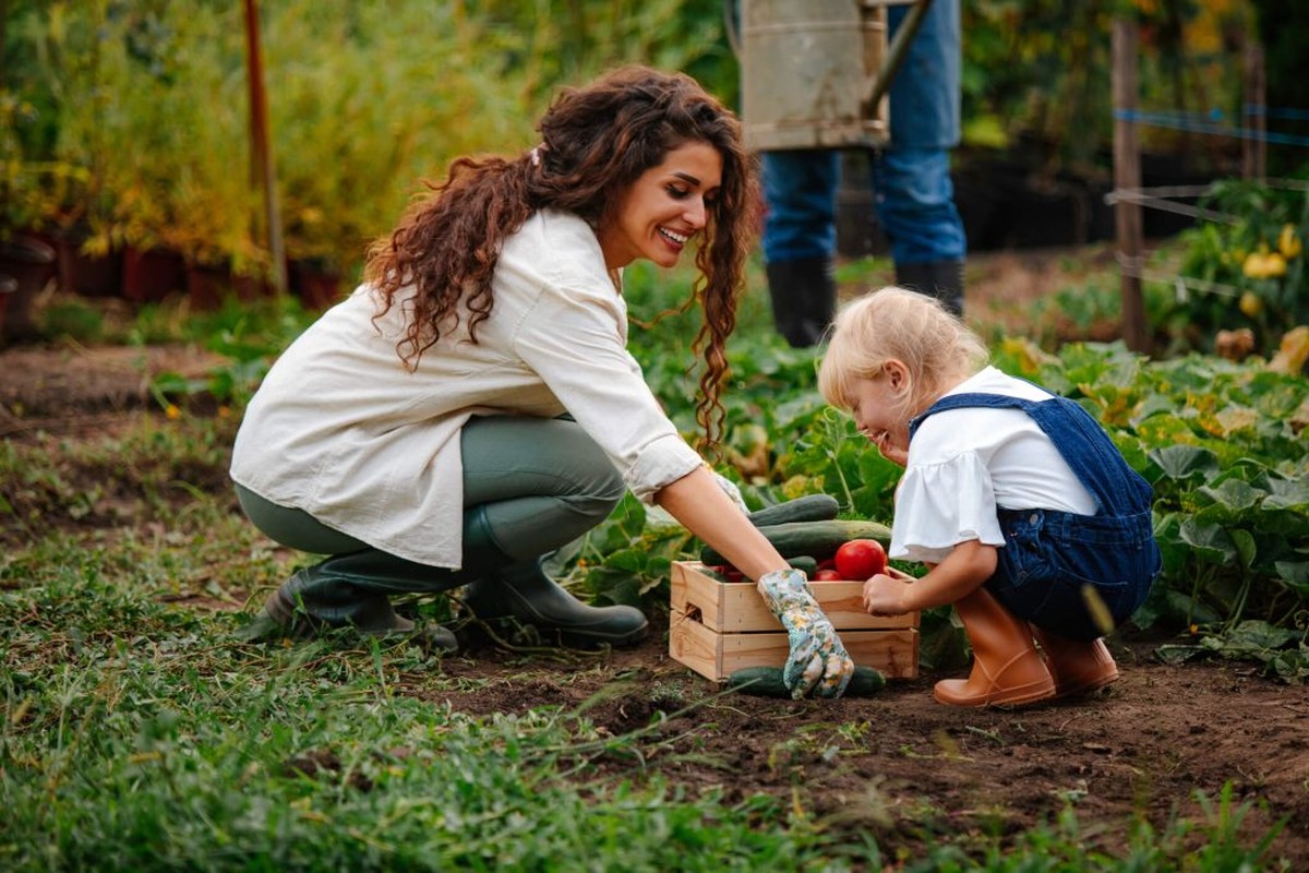 Vejce v záhonu: Zahradníci si ho strčí sem a tady je důvod - image 2