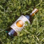 Whisky na listí rajčat – proč to myslivci znají, ale sadaři ne