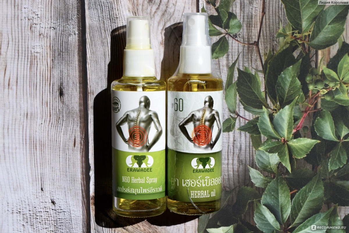 Zahradníci přiznali: Toto bylinkové spojení likviduje plísně na rostlinách lépe než prostředky za 500 Kč - image 1