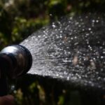 Zahradníci prosí: nikdy neprospřívejte květiny po západu slunce