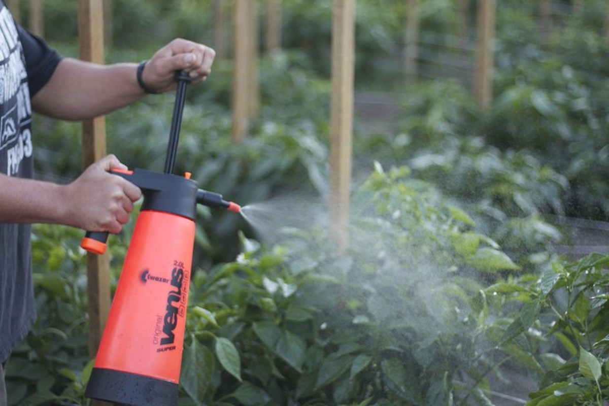 Zahradníci vám prozradí: nikdy se nezbavujte kompostované vody - image 2