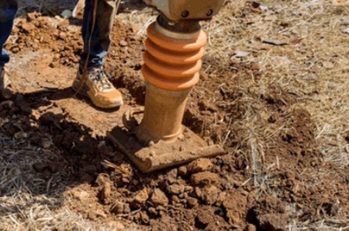 Zahradníci vám říkají: nikdy netlačte zeminu kolem mladých stromů tímto způsobem - image 1