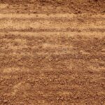 Zahradníci varují: nikdy nepoužívejte tuto půdu z okolí silnice