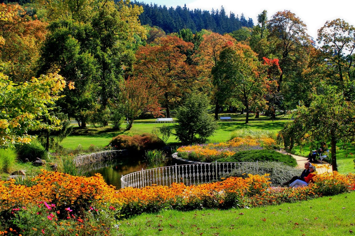 Zahradníci varují: nikdy nezavlažujte tyto květiny ráno - image 1