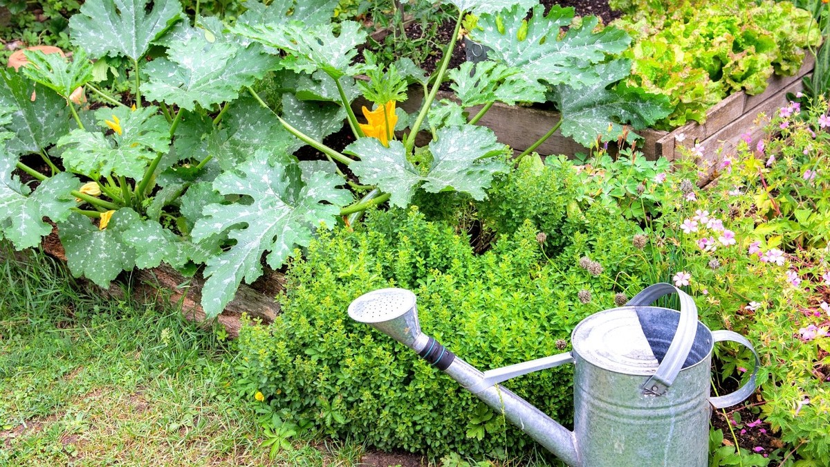 Zahradníci varují: nikdy nezapichujte tyto rostliny vedle sebe - image 1