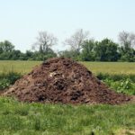 Zemědělci odhalují: proč by měl mít každý záhradkář přístup k hovnu