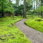 Zubní pasta na mech v trávníku: Chemie, kterou výrobci nerad zmiňují