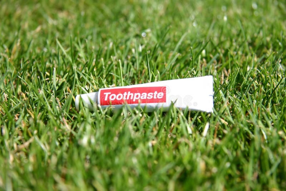 Zubní pasta na mech v trávníku: Chemie, kterou výrobci nerad zmiňují - image 2