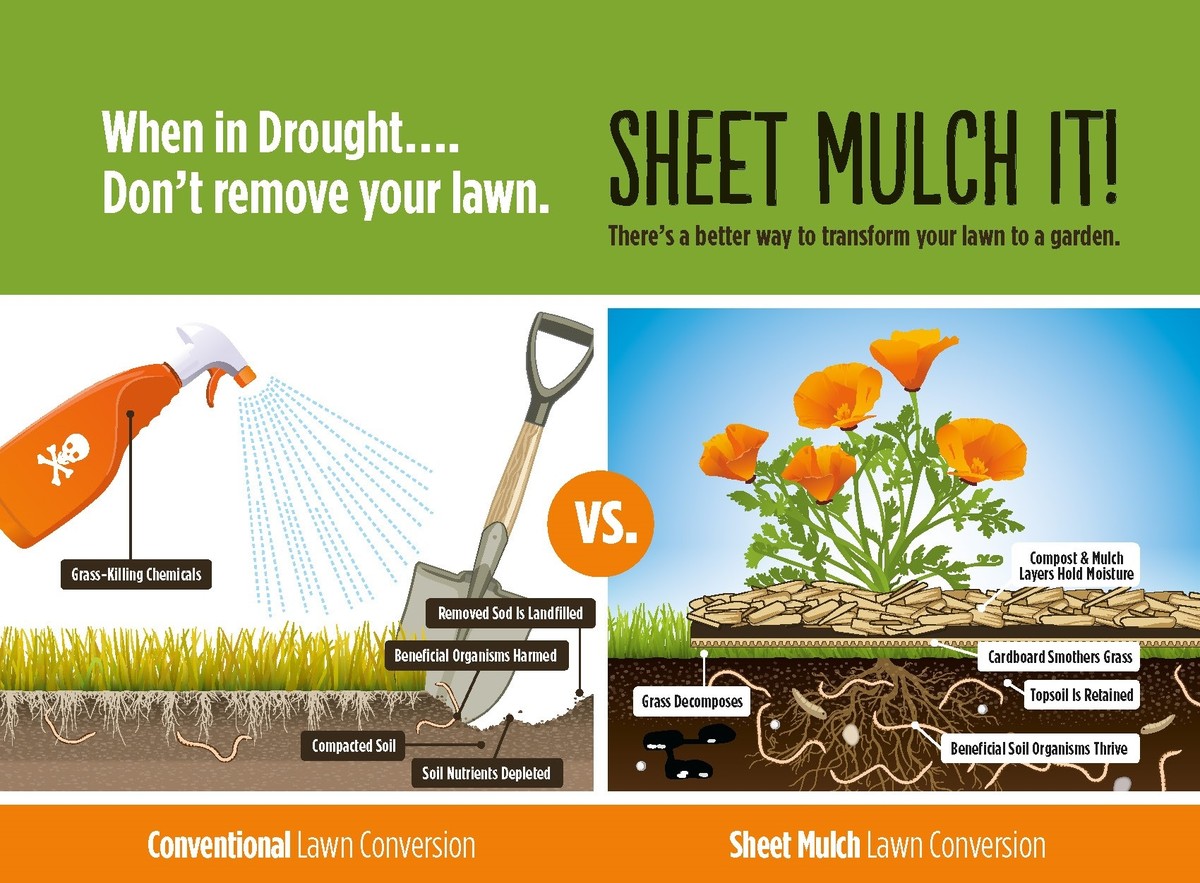 Zvětrané casopisy v kompostu: tajemství, která znají permakultivní farmáři - image 2