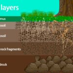 Bývalý agrotechnik odhaluje: jak poznat zdravou ornici na první pohled