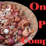 Cibulová slupka na kompostu zvyšuje výnos o polovinu