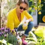 Citrónová slupka do půdy řeší problém, který vás trápí od jara