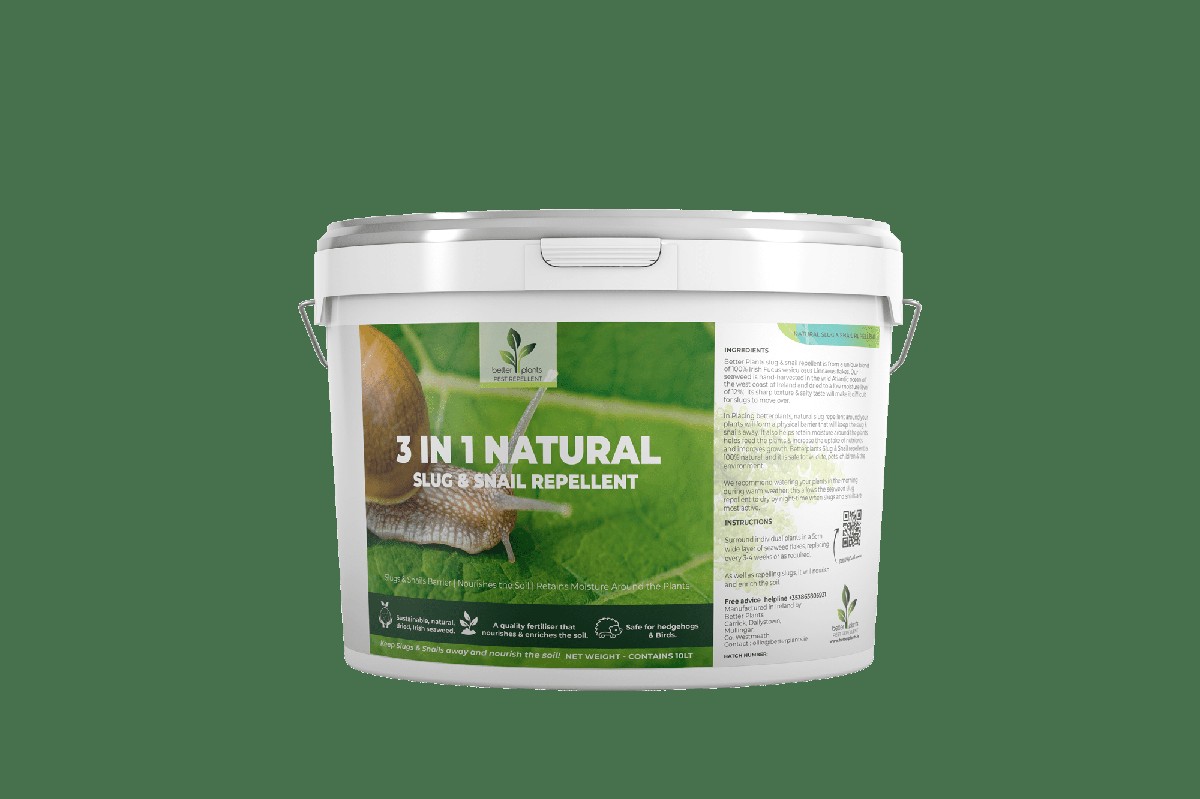 Citrónová slupka na okrajích záhonů zastaví slimáky na místě - image 1