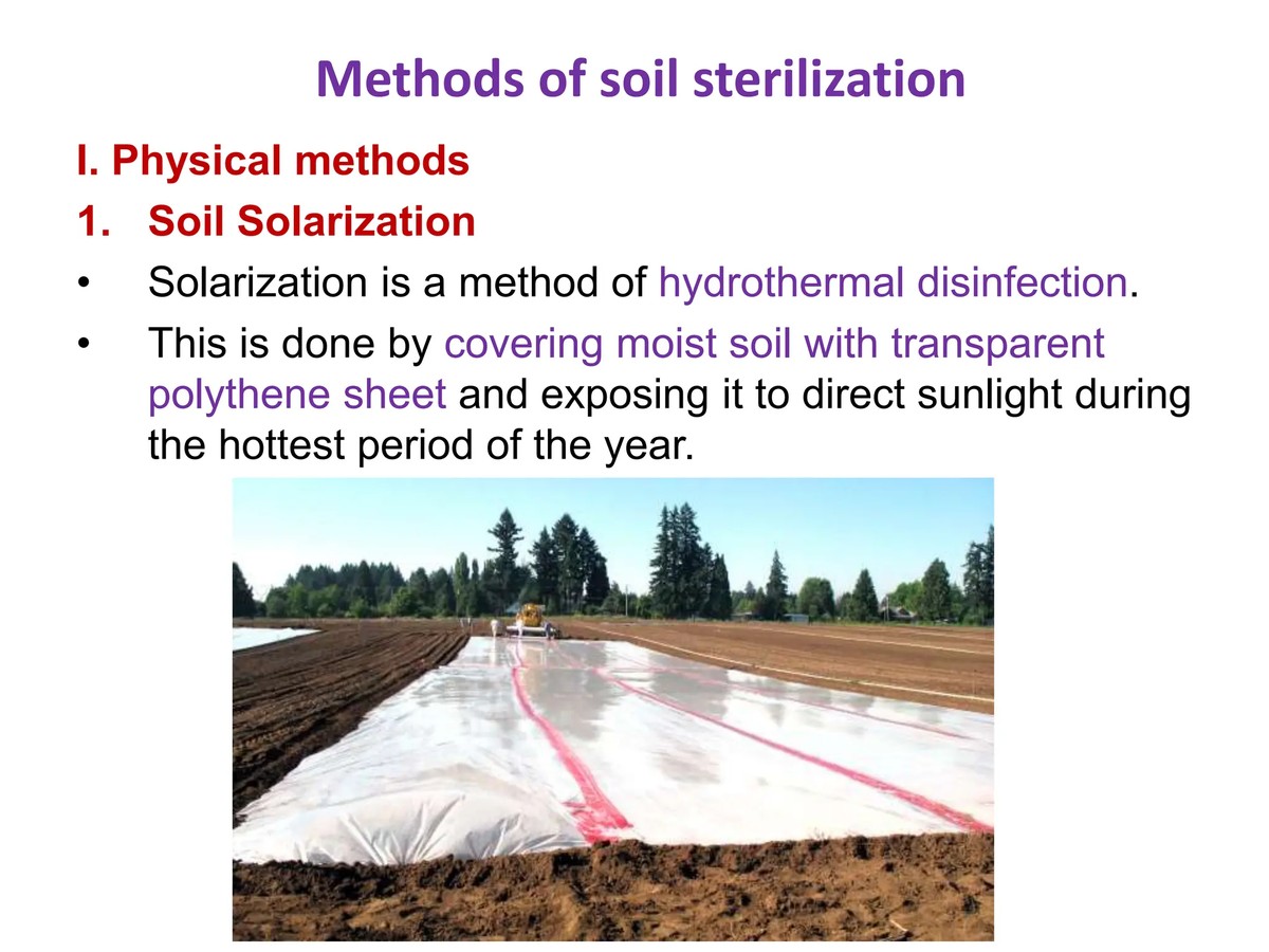 Co bioložky nikdy nedělají se starou půdou - a proč se to vyplácí - image 2