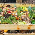 Co dělají profesionální zemědělci se zkažením kompoštem, co vám nikdo neřekne