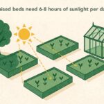 Co říkají agronom z ČZU: nejčastější chyba při proslunování záhonu