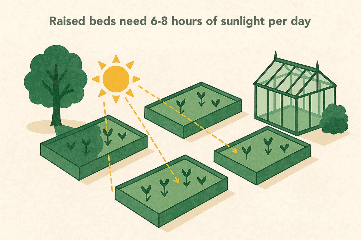 Co říkají agronom z ČZU: nejčastější chyba při proslunování záhonu
