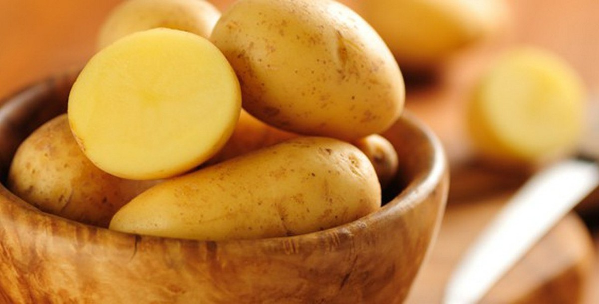 Co říkají českému farmářům o správném zrání brambor - image 2