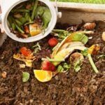 Co vám řekne zkušený zemědělec o kompostu, kterou nevíte