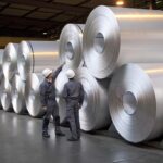 Hliníková fólie kolem květináče: jednoduchý trik proti půdním červům