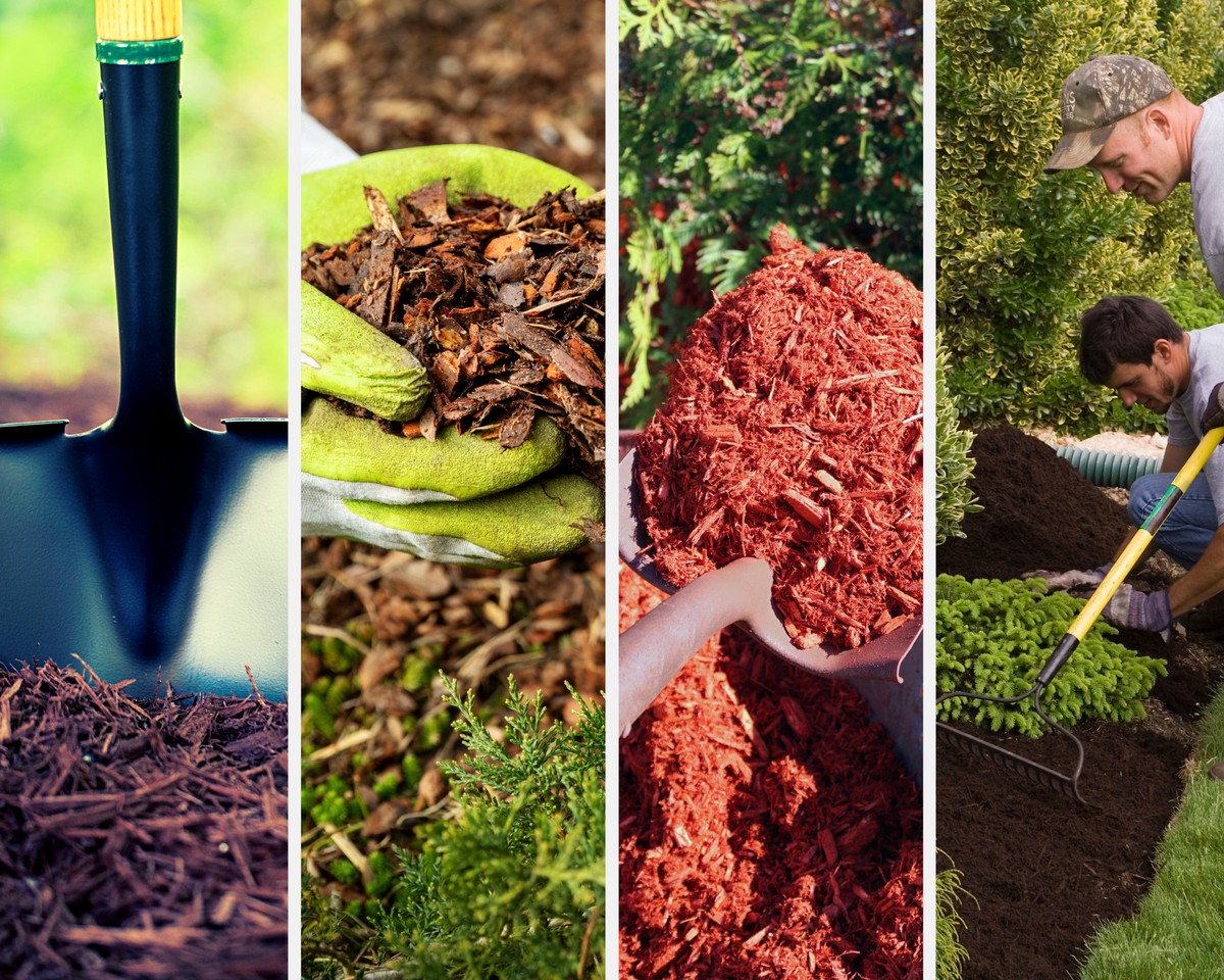 Kávový filtr jako mulč: starý trik, který šetří vodu v létě - image 1