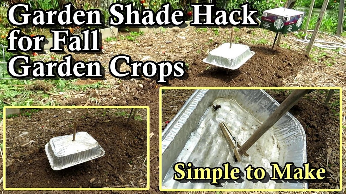 Kávový filtr jako zatmavovač na okna? Zahrádkáři to vědí už roky - image 2