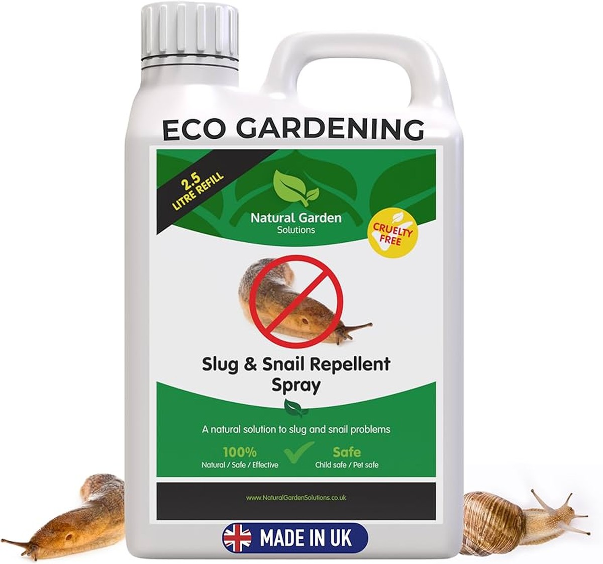 Kávový filtr na okně: proč to zahradníci používají proti slimákům - image 2