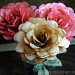 Kávový filtr v květináči? Zabraňuje zápachu a podhnilům kořenů