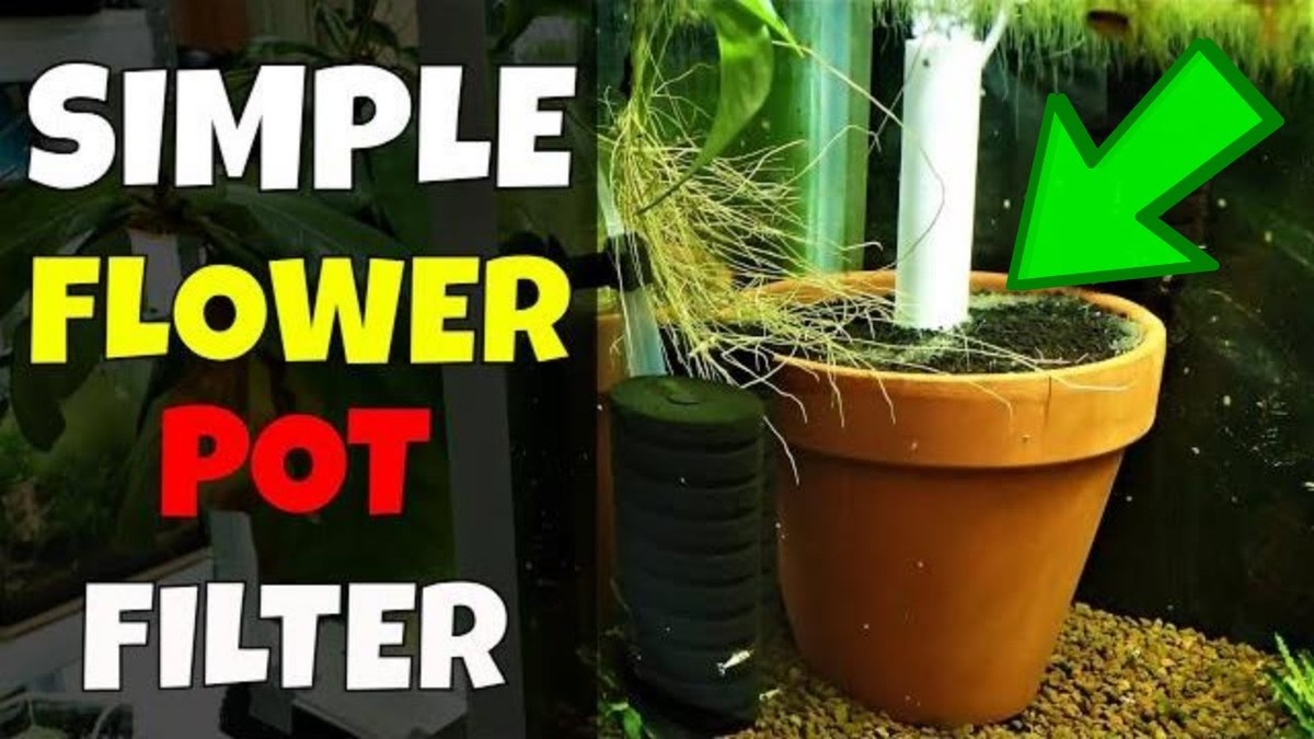 Kávový filtr v květináči? Voda se nebude hromadit a kořeny by to měly raději - image 2