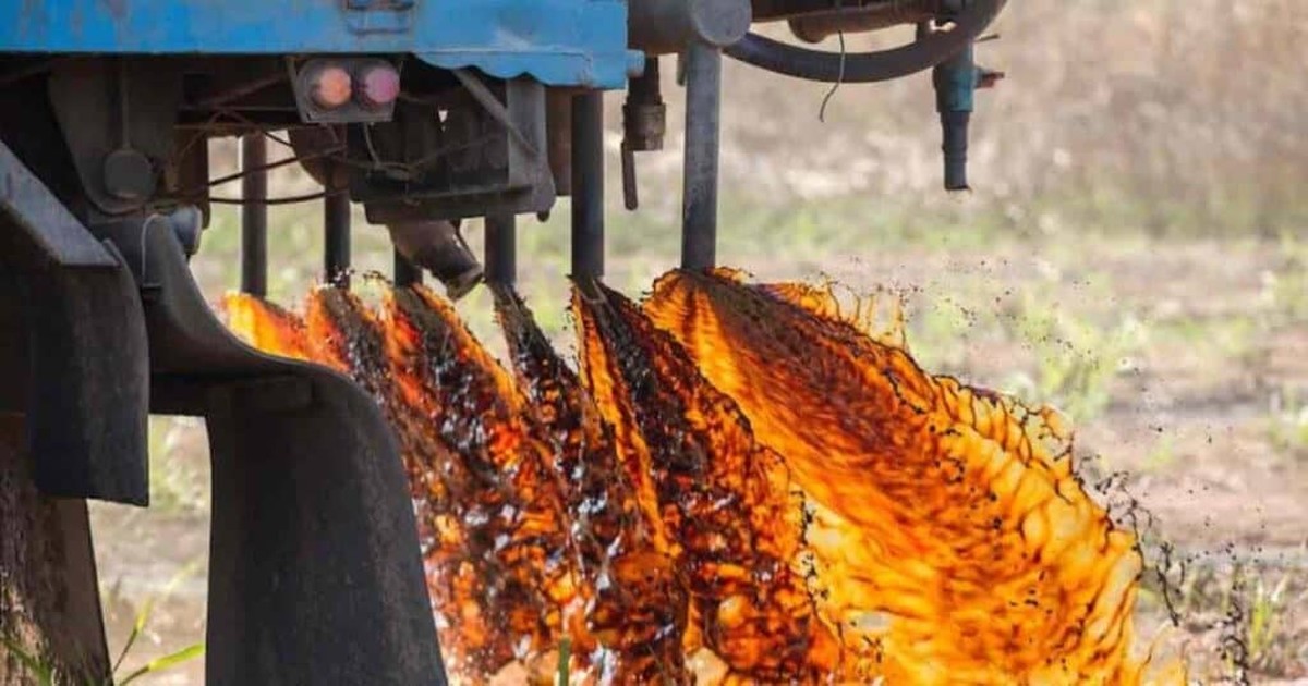 Ledová voda s cukrem místo drahých postřiků na květiny – funguje - image 2