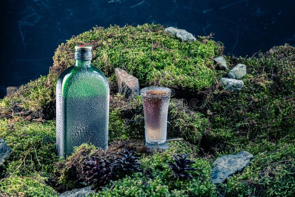 Ledový sáček na rajčata: proč to dělají profesionální zahradníci v létě - image 2