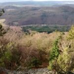 Lesáři vás varují: půdu kupujte až po tomto data nebo ztratíte 40 % vzhledu