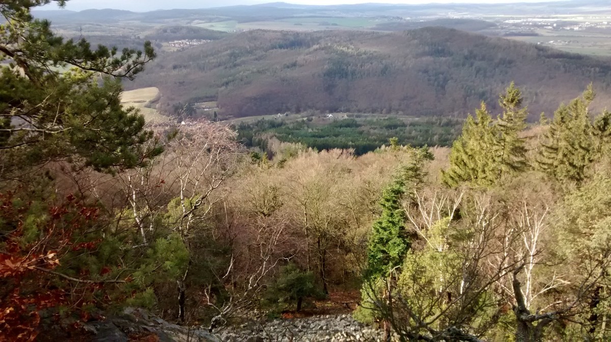 Lesáři vás varují: půdu kupujte až po tomto data nebo ztratíte 40 % vzhledu