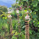 Měď na tykvi? Tak zastavíte plíseň než začne