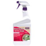 Mýdlová voda na listy? Proč botanici skrývají tuto jednoduchou zbraň proti škůdcům