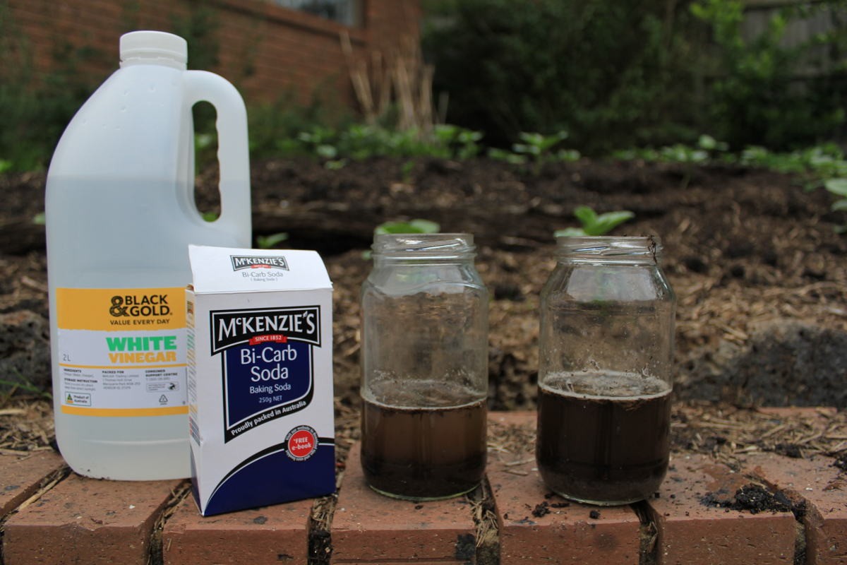 Obyčejný ocet v zálivce: vědecky prokázaný trik na výběr kyselosti půdy