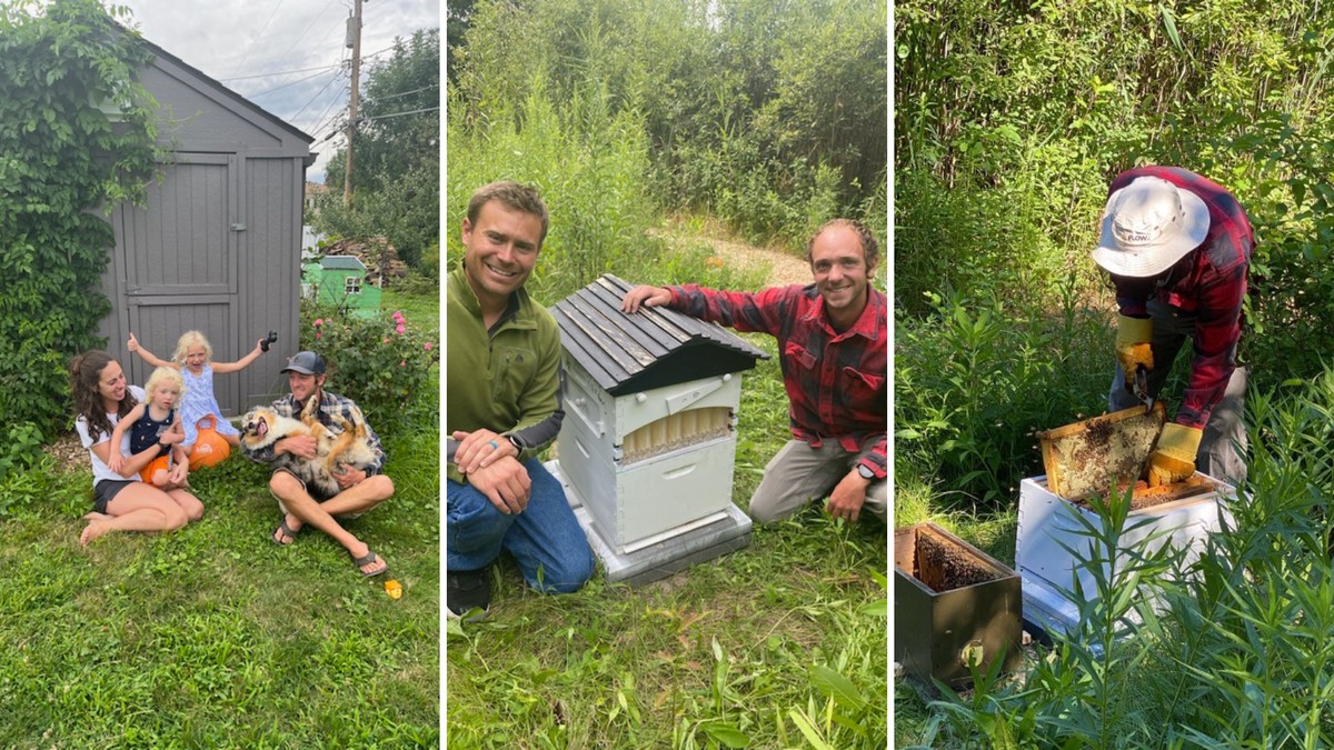 Ocet na listy? Starý trik českých zahradníků proti padlí - image 2